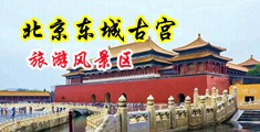 大骚逼强求大鸡巴日操吹中国北京-东城古宫旅游风景区